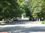 Catre monument dinspre parc.jpg (159kb)